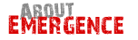 About Emergence